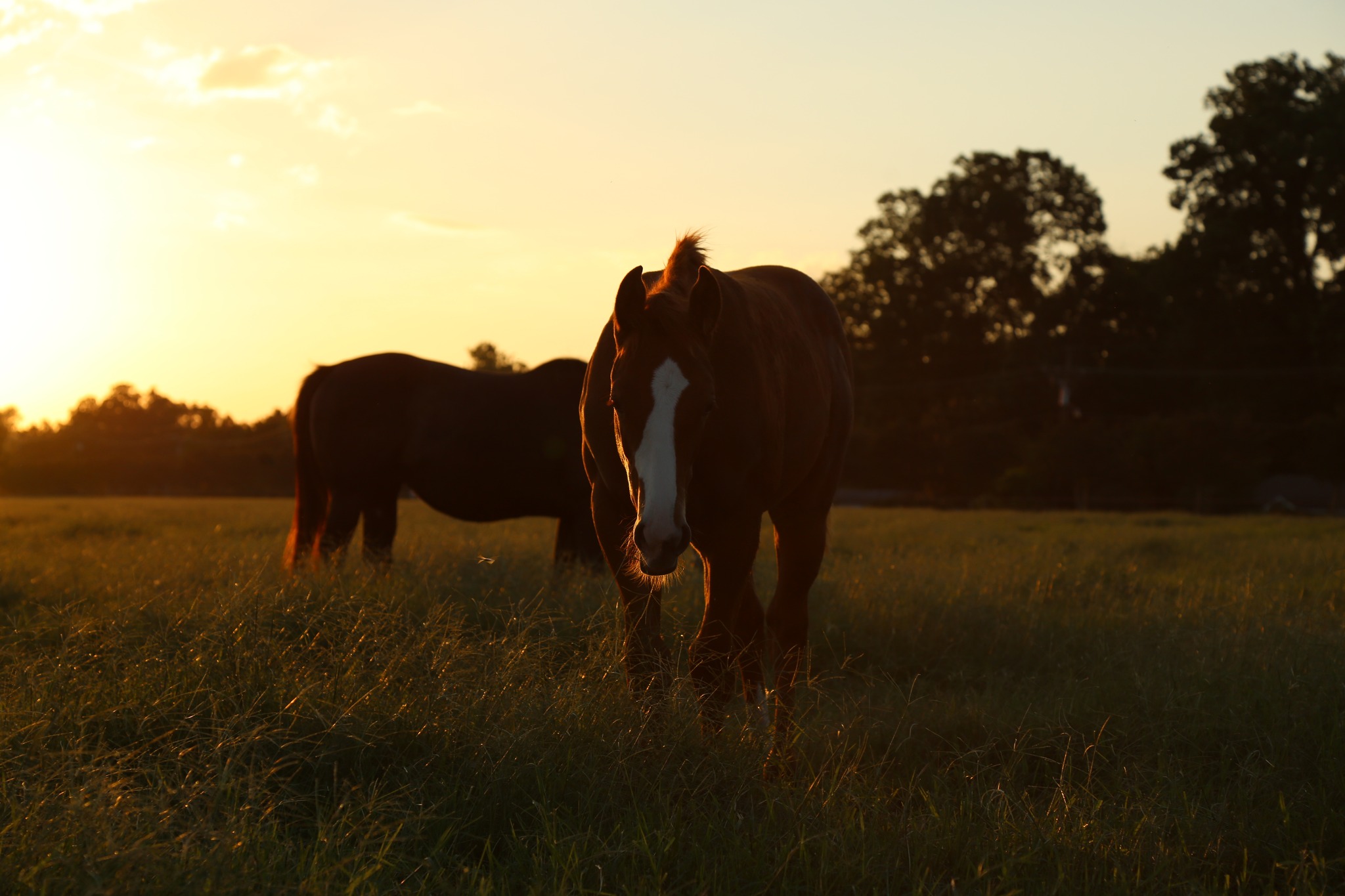 J.E. Jumonville, Jr. of Jumonville Farms